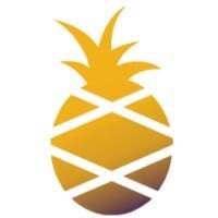 Smart Pineapple