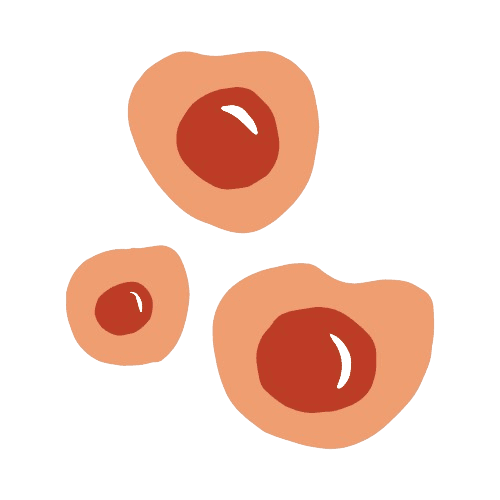 Pomelli