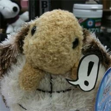 Mcp Bear