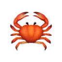 Claw-fm