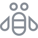 IBM Bob