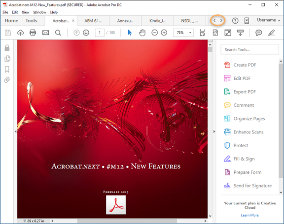 Adobe Acrobat preview